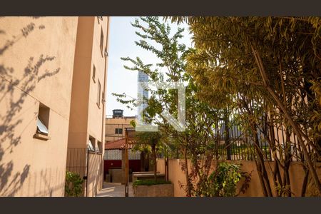 Apartamento à venda com 77m², 3 quartos e 2 vagas Apartamento à venda com 77m², 3 quartos e 2 vagasÁrea comum