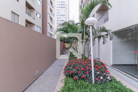 Apartamento à venda com 66m², 3 quartos e 1 vaga Apartamento à venda com 66m², 3 quartos e 1 vagaÁrea comum