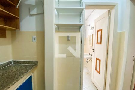 Cozinha de apartamento para alugar com 1 quarto, 30m² em Laranjeiras, Rio de Janeiro