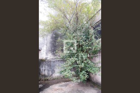 Casa à venda com 210m², 3 quartos e 2 vagasQuintal