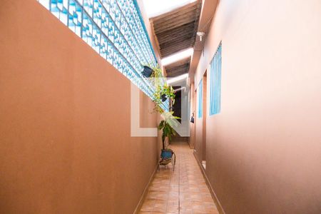 Casa à venda com 127m², 3 quartos e 2 vagasQuintal