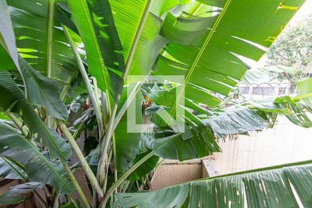 Casa à venda com 115m², 3 quartos e 2 vagas Casa à venda com 115m², 3 quartos e 2 vagasVista do Quarto 1