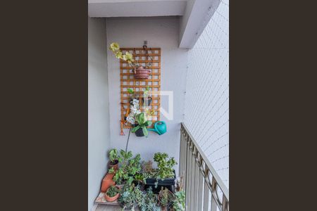 Varanda da sala de apartamento à venda com 3 quartos, 74m² em Vila Mangalot, São Paulo