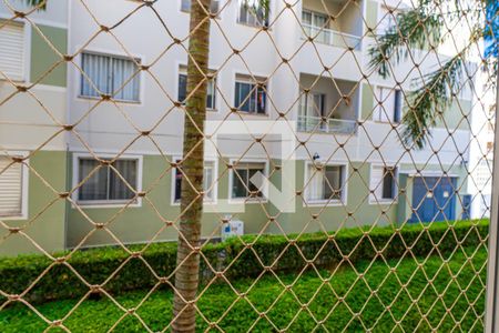 Sala de apartamento à venda com 2 quartos, 48m² em Jardim Nova Europa, Campinas