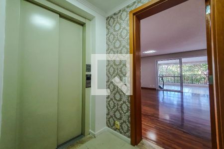 hall de apartamento para alugar com 3 quartos, 213m² em Ipiranga, São Paulo