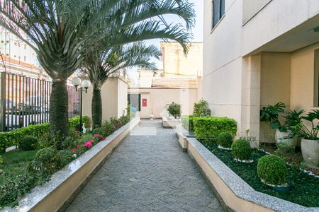 Apartamento à venda com 62m², 2 quartos e 2 vagas Apartamento à venda com 62m², 2 quartos e 2 vagasÁrea comum