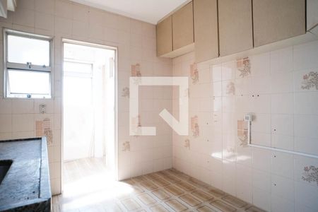 cozinha de apartamento para alugar com 2 quartos, 51m² em Vila Londrina, São Paulo