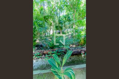 Apartamento à venda com 77m², 3 quartos e 2 vagasÁrea comum