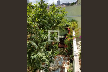 Casa à venda com 200m², 3 quartos e 3 vagas Casa à venda com 200m², 3 quartos e 3 vagasÁrea Externa