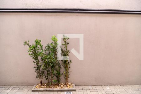 Vista do Studio de apartamento para alugar com 1 quarto, 24m² em Vila Monte Alegre, São Paulo