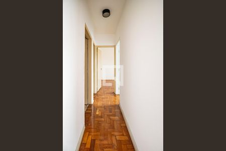Corredor de apartamento para alugar com 3 quartos, 84m² em Vila Mariana, São Paulo