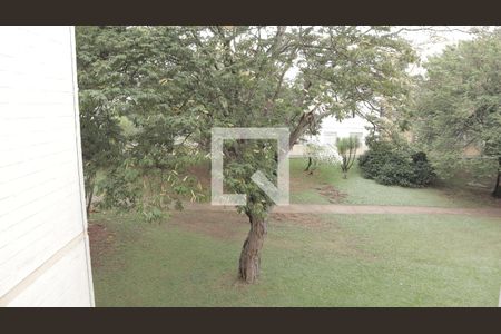 Sala - vista janela de apartamento à venda com 3 quartos, 76m² em Conjunto Residencial Parque Bandeirantes, Campinas