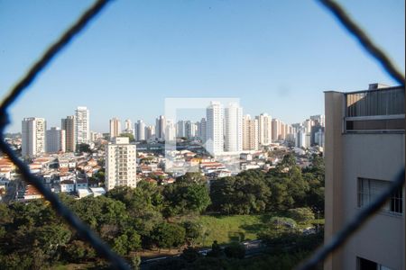 Vista da Varanda da Sala 1 de apartamento para alugar com 2 quartos, 202m² em Vila Monte Alegre, São Paulo