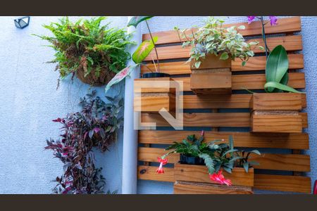 Casa à venda com 194m², 4 quartos e 3 vagas Casa à venda com 194m², 4 quartos e 3 vagasÁrea Externa