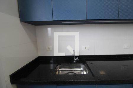 Pia da cozinha de apartamento para alugar com 1 quarto, 25m² em Vila Santana, São Paulo