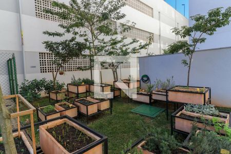Apartamento à venda com 44m², 2 quartos e sem vaga Apartamento à venda com 44m², 2 quartos e sem vagaÁrea comum - Horta