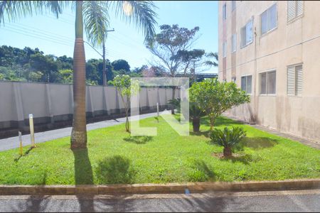Vista Quarto 1 de apartamento para alugar com 3 quartos, 64m² em Jardim Flamboyant, Campinas