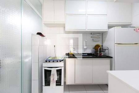 Apartamento à venda com 49m², 2 quartos e 1 vagaCozinha - Armários