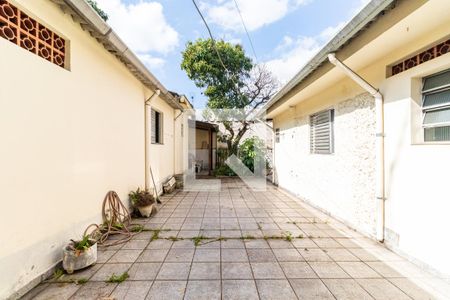 Casa à venda com 350m², 3 quartos e 3 vagas Casa à venda com 350m², 3 quartos e 3 vagasQuintal