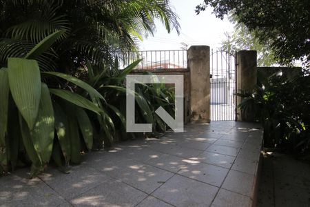 Casa à venda com 294m², 2 quartos e 2 vagasQuintal