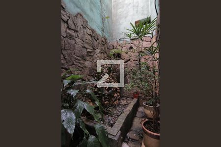 Casa para alugar com 360m², 5 quartos e 4 vagasÁrea Externa