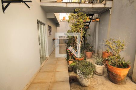 Casa para alugar com 420m², 4 quartos e 3 vagasQuintal