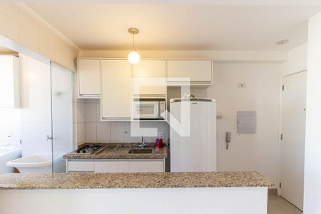 Cozinha de apartamento para alugar com 1 quarto, 37m² em Vila da Saúde, São Paulo