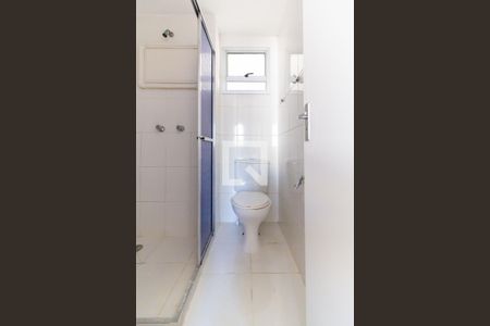 Apartamento para alugar com 63m², 3 quartos e 1 vaga Apartamento para alugar com 63m², 3 quartos e 1 vagaBanheiro Social