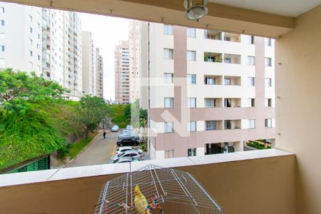 Apartamento à venda com 64m², 3 quartos e 1 vaga Apartamento à venda com 64m², 3 quartos e 1 vagaVaranda da Sala