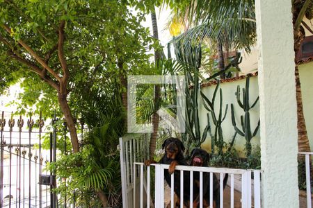 Casa à venda com 367m², 4 quartos e 2 vagasQuintal - Canil