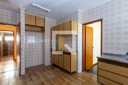 Apartamento para alugar com 296m², 3 quartos e 3 vagas Apartamento para alugar com 296m², 3 quartos e 3 vagasCozinha