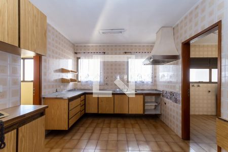 Apartamento para alugar com 296m², 3 quartos e 3 vagas Apartamento para alugar com 296m², 3 quartos e 3 vagasCozinha