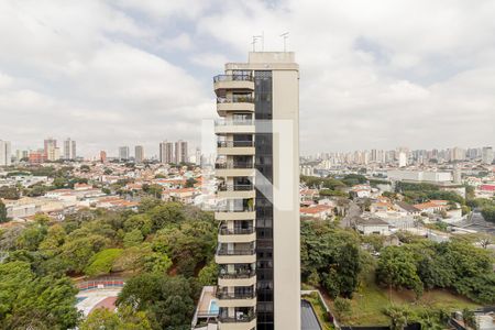 Apartamento para alugar com 270m², 4 quartos e 4 vagas Apartamento para alugar com 270m², 4 quartos e 4 vagasVista da Suíte 3