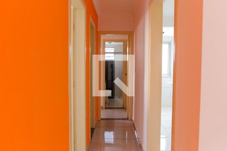 Corredor de apartamento para alugar com 2 quartos, 55m² em Vila Principe de Gales, Santo André