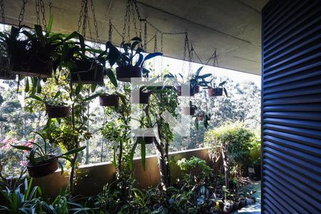 Apartamento à venda com 500m², 4 quartos e 3 vagas Apartamento à venda com 500m², 4 quartos e 3 vagasVaranda da suíte 4