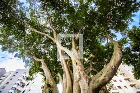 Apartamento à venda com 67m², 2 quartos e 1 vaga Apartamento à venda com 67m², 2 quartos e 1 vagaÁrea comum- entrada do prédio