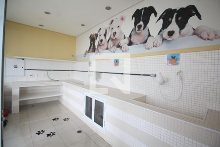 Apartamento para alugar com 145m², 4 quartos e 2 vagasPet Shop