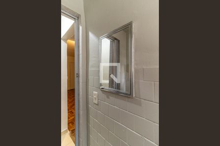 Banheiro - Armário de kitnet/studio para alugar com 1 quarto, 29m² em Santa Cecilia, São Paulo