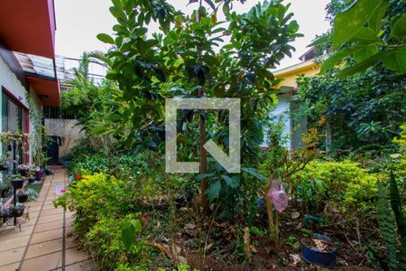 Casa à venda com 546m², 3 quartos e 6 vagas Casa à venda com 546m², 3 quartos e 6 vagasJardim