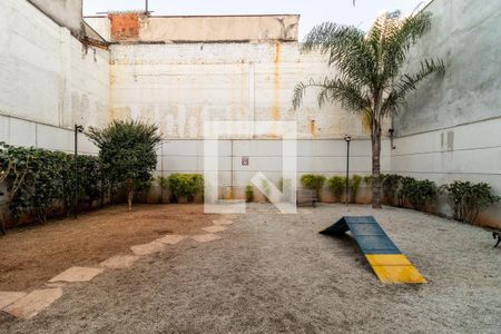 Apartamento à venda com 79m², 2 quartos e 1 vaga Apartamento à venda com 79m², 2 quartos e 1 vagaÁrea comum - Área Pet