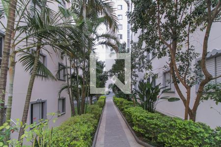 Apartamento à venda com 64m², 3 quartos e 1 vagaÁrea comum