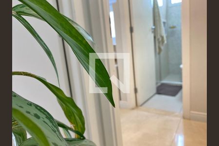 Apartamento à venda com 65m², 2 quartos e 1 vaga Apartamento à venda com 65m², 2 quartos e 1 vagaCorredor - detalhe