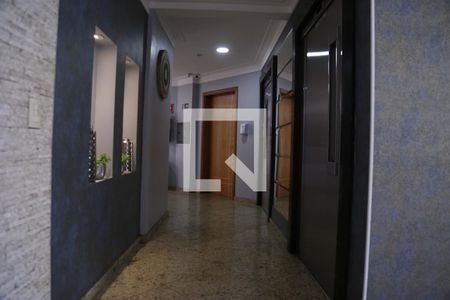 Apartamento para alugar com 80m², 3 quartos e 1 vagaElevadores