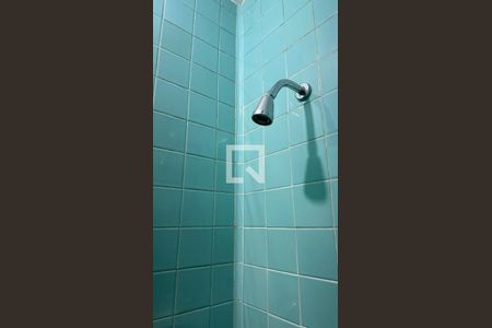 Apartamento para alugar com 83m², 2 quartos e sem vagaBanheiro de serviço