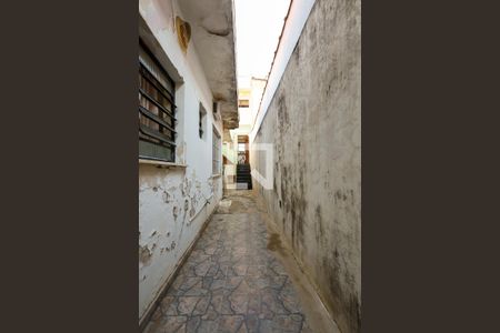 Casa à venda com 198m², 3 quartos e 2 vagas Casa à venda com 198m², 3 quartos e 2 vagasQuintal