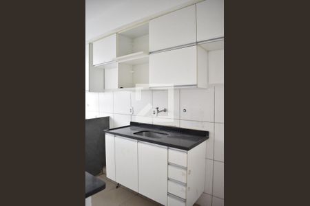 Apartamento para alugar com 47m², 2 quartos e 1 vagaCozinha - Armários