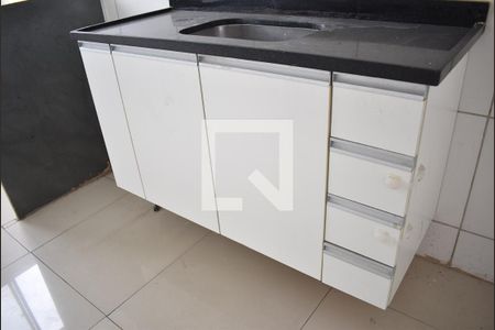 Apartamento para alugar com 47m², 2 quartos e 1 vagaCozinha - Armário