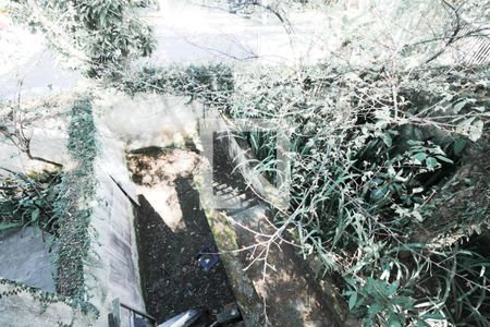 Casa à venda com 570m², 5 quartos e 5 vagas Casa à venda com 570m², 5 quartos e 5 vagasJardim