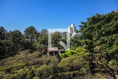 Apartamento à venda com 300m², 4 quartos e 4 vagasVista da suíte 4