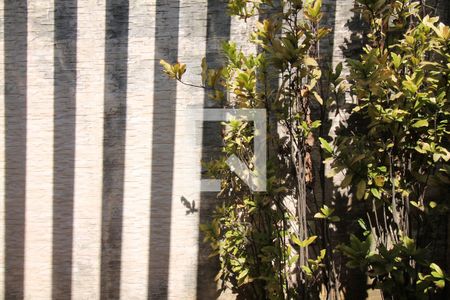 Casa à venda com 300m², 5 quartos e 2 vagasGaragem - detalhe